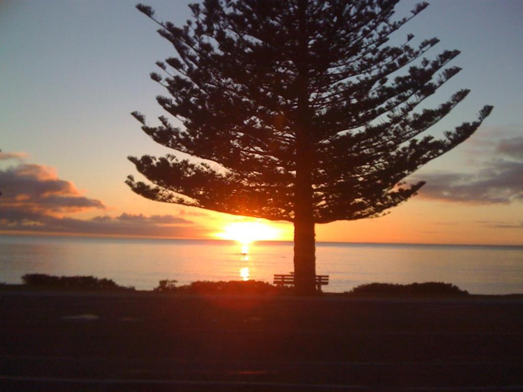 Inn The Bay Bed & Breakfast Kaikoura Bagian luar foto